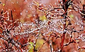 I Capture The Subtle Beauty Of What We Hardly Ever Look At