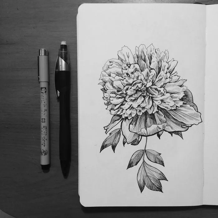 Another Beloved Peony
