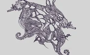 Fariha Faroon Illustrations