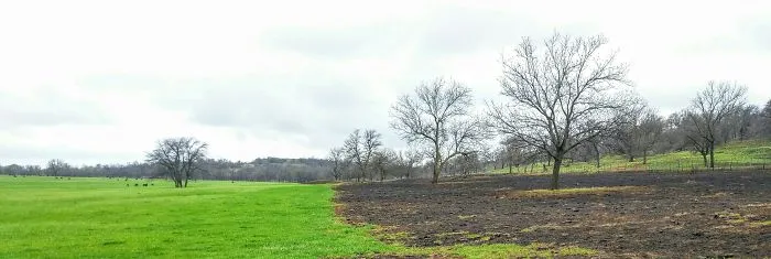 Oklahoma Travels Shots (phone Cam)