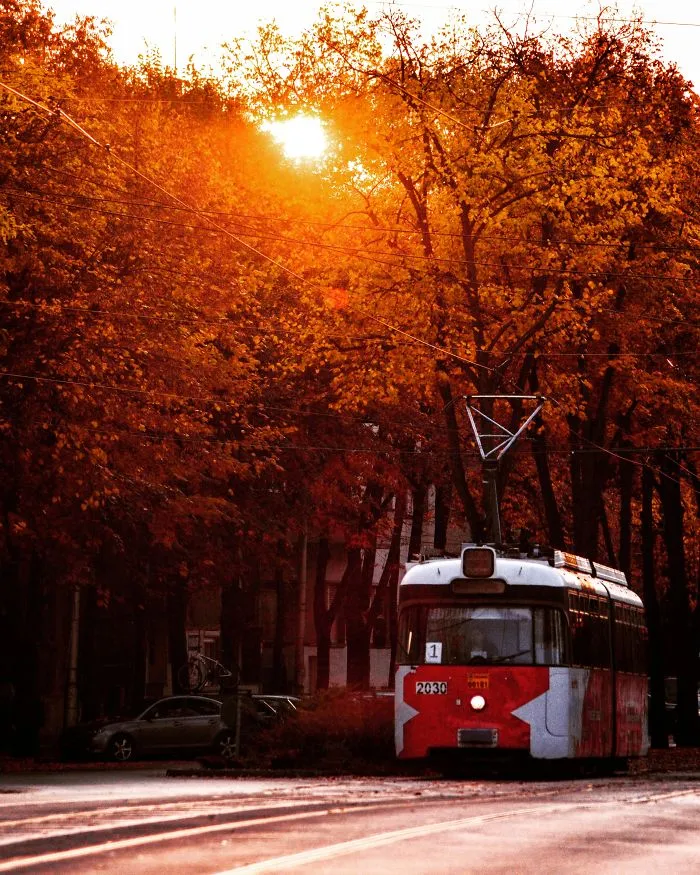 I Enjoy Taking Long Walks In My City, Timișoara, To Capture Its Beauty