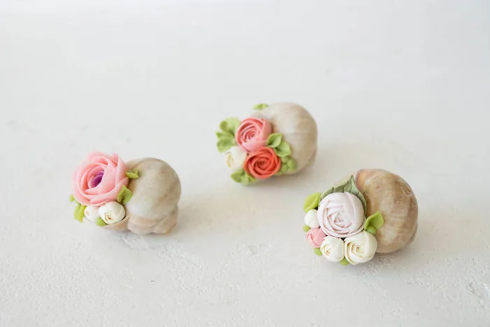 I Create Succulent-Inspired Home Decor Using Snail Shells Which I Found In The Countryside