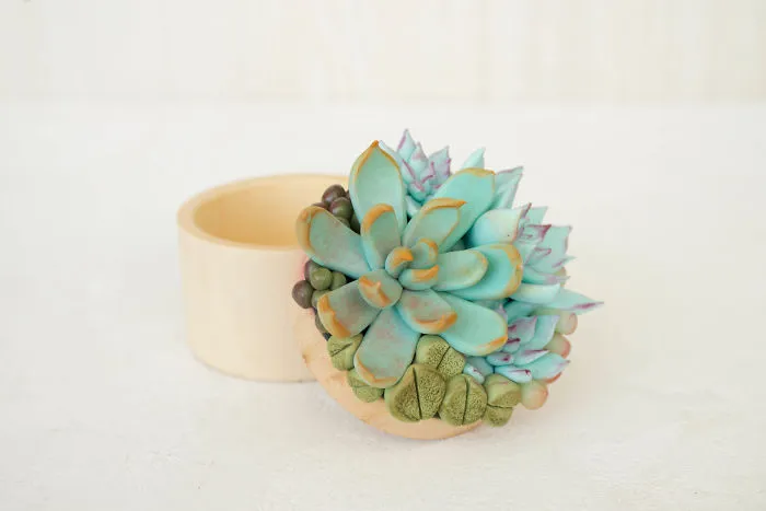 I Create Succulent-Inspired Home Decor Using Snail Shells Which I Found In The Countryside