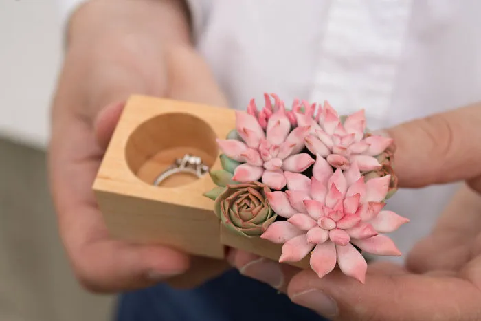 I Create Succulent-Inspired Home Decor Using Snail Shells Which I Found In The Countryside