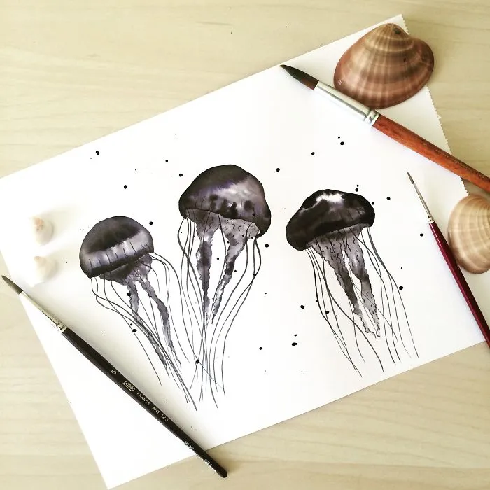 Jellyfish