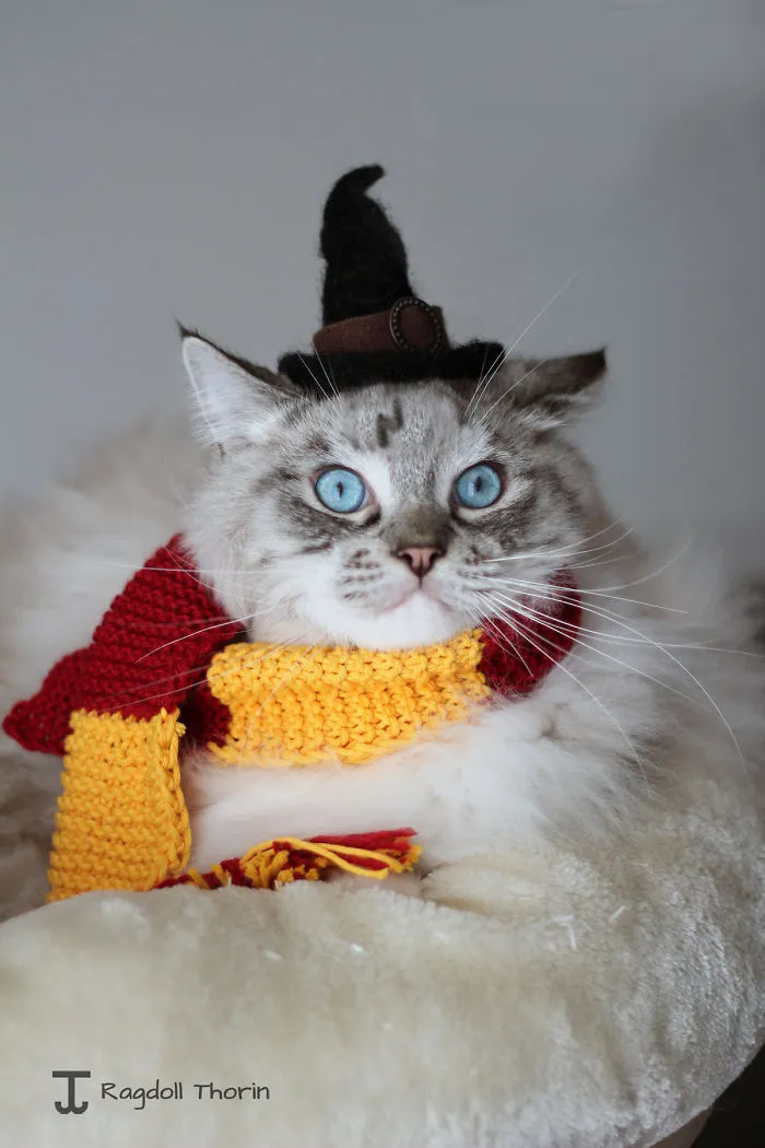 Hairy Potter