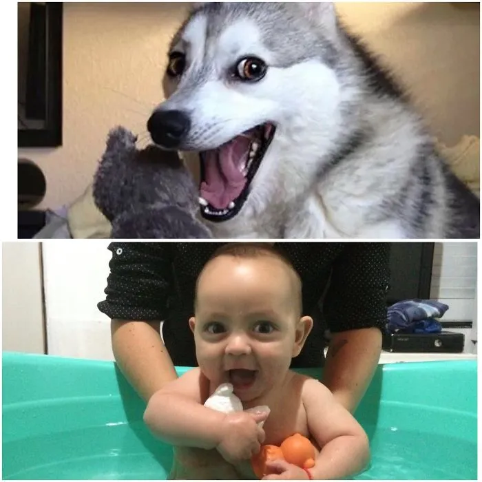 Find The Differences