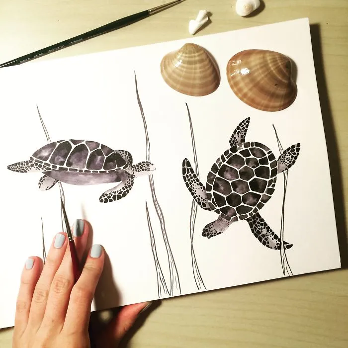 Sea Turtles
