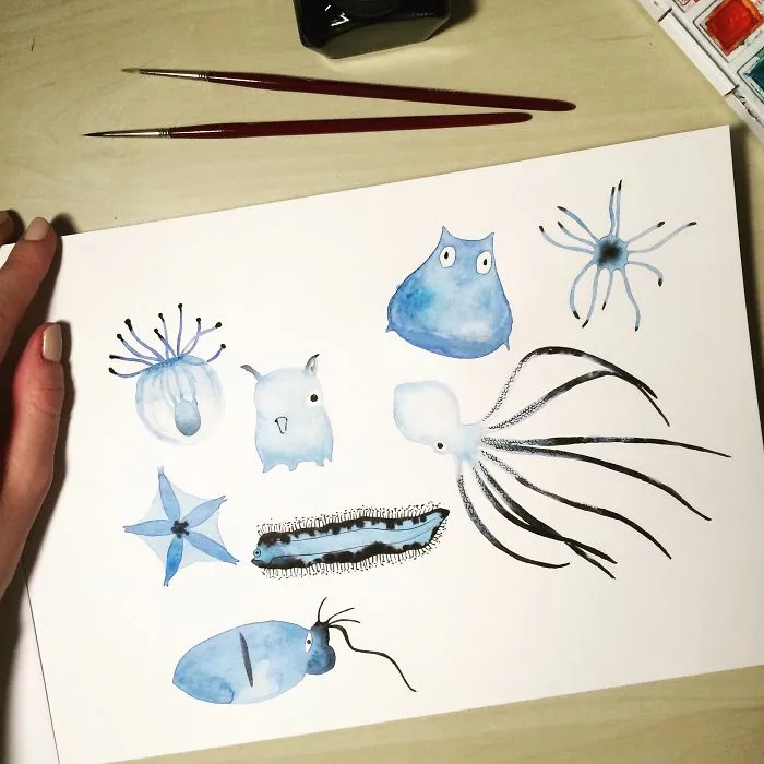 Deep Sea Animals
