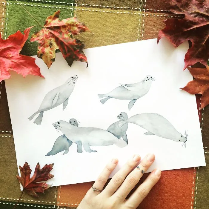 Sea Lions
