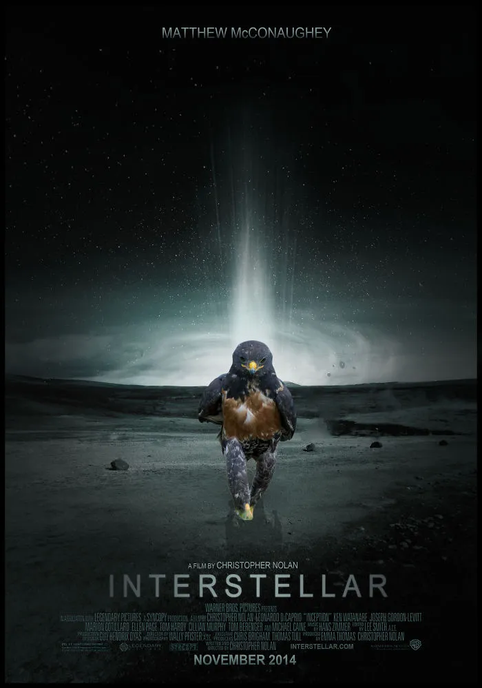 Hawkastellar