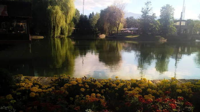Moments Captured By The Camera Of An Amateur Photographer