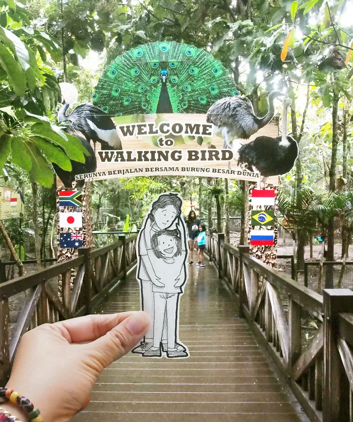 Bird Watching At The Park
