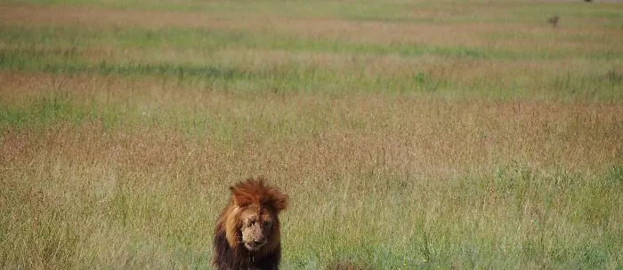 Africa : Tanzania And Zanzibar