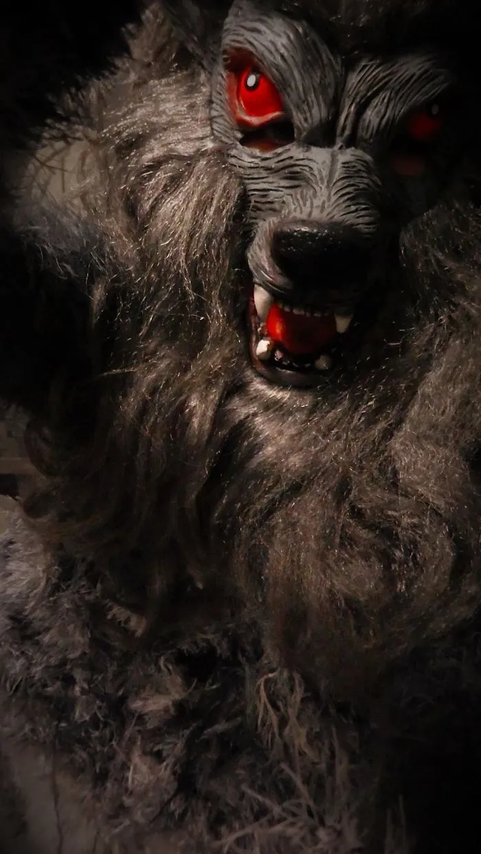 Close up of a scary werewolf mask for creative Halloween costume ideas
