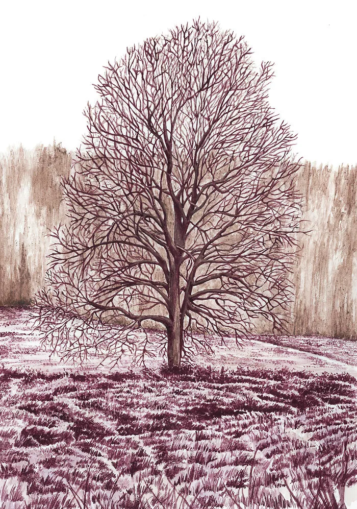 Lonely Tree. Wine: Pinot Meunier, Shiraz