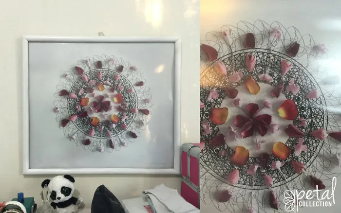 I Am Here To Splash Your World With Colour In Everlasting-Petal-Art-Creations