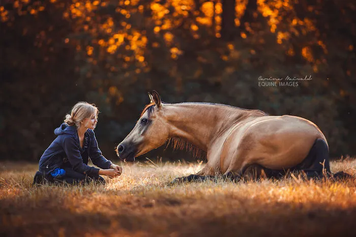I Photograph Horses To Show Their Unique Characters