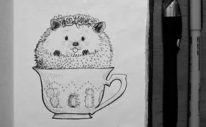 I Was Challenged To Draw One Doodle A Day For The Whole Year