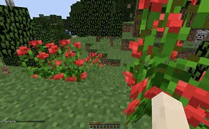 Minecraft Images That Show A Laid Back Beautiful Series