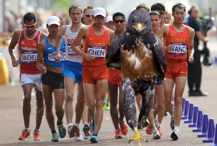 Race Walking Champ