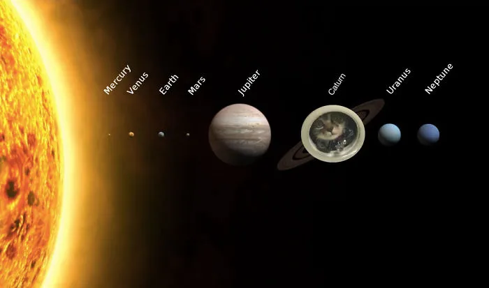 Space Cat