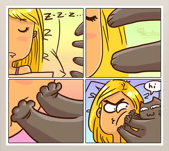 101 Comics That Purrfectly Capture Life With Cats