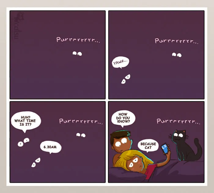 101 Comics That Purrfectly Capture Life With Cats