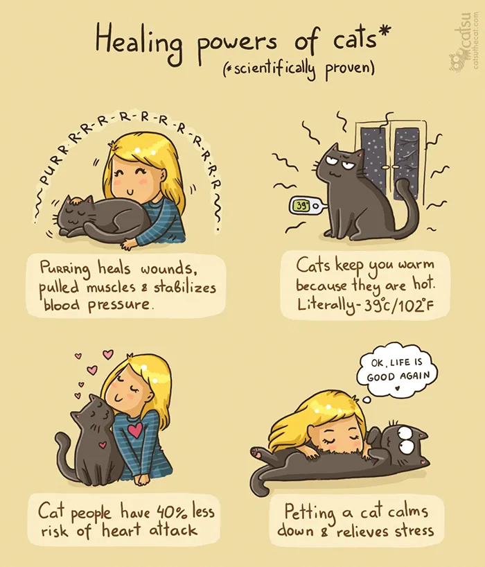 101 Comics That Purrfectly Capture Life With Cats