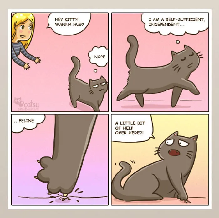 101 Comics That Purrfectly Capture Life With Cats