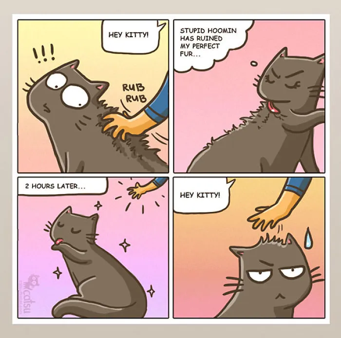 101 Comics That Purrfectly Capture Life With Cats