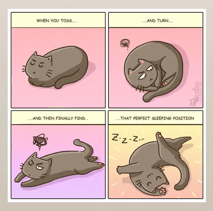 101 Comics That Purrfectly Capture Life With Cats