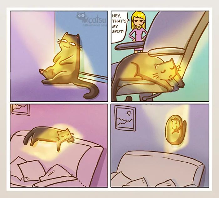 101 Comics That Purrfectly Capture Life With Cats