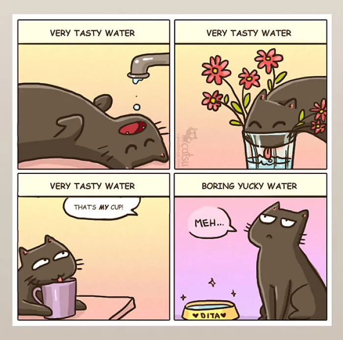 101 Comics That Purrfectly Capture Life With Cats