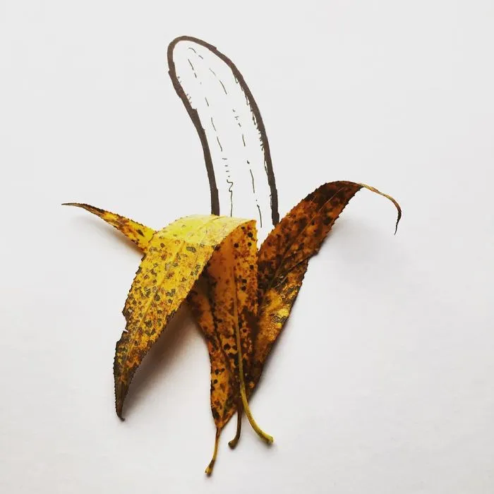 Leaf Banana