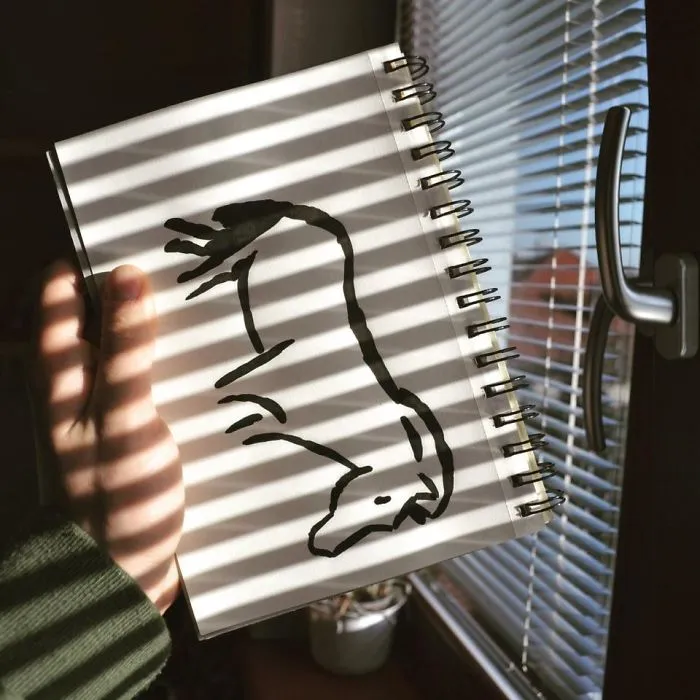 Sunlight Zebra