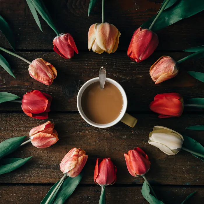 This Photographer Turns Flowers And Leaves Into Art