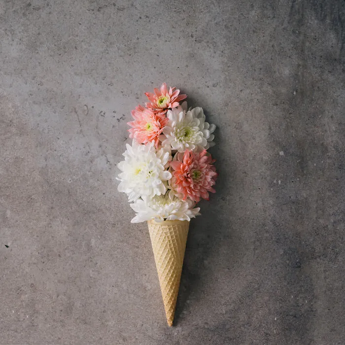This Photographer Turns Flowers And Leaves Into Art