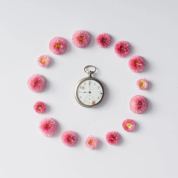 This Photographer Turns Flowers And Leaves Into Art