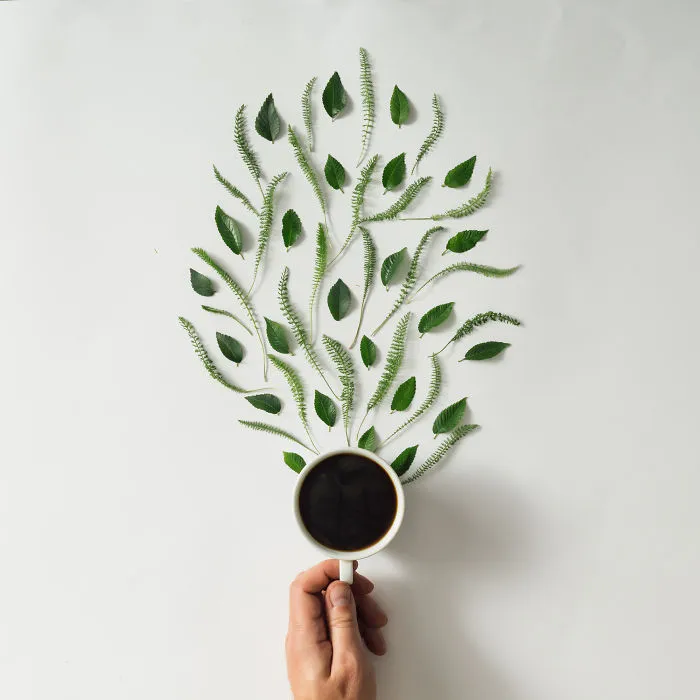 This Photographer Turns Flowers And Leaves Into Art