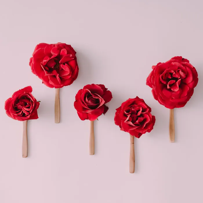 This Photographer Turns Flowers And Leaves Into Art