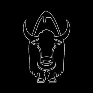 Mountain Yak