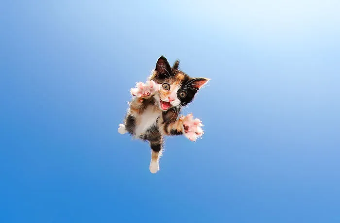 Zeppelin