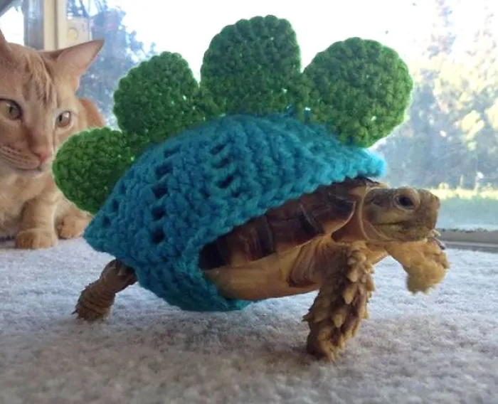 Tortoise Sweater