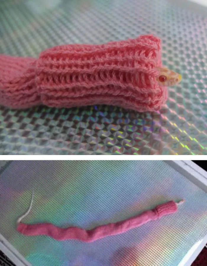 Little Snake In Sweater