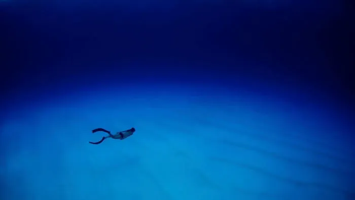 Masterpiece Category Finalist, San Salvador Island, Bahamas