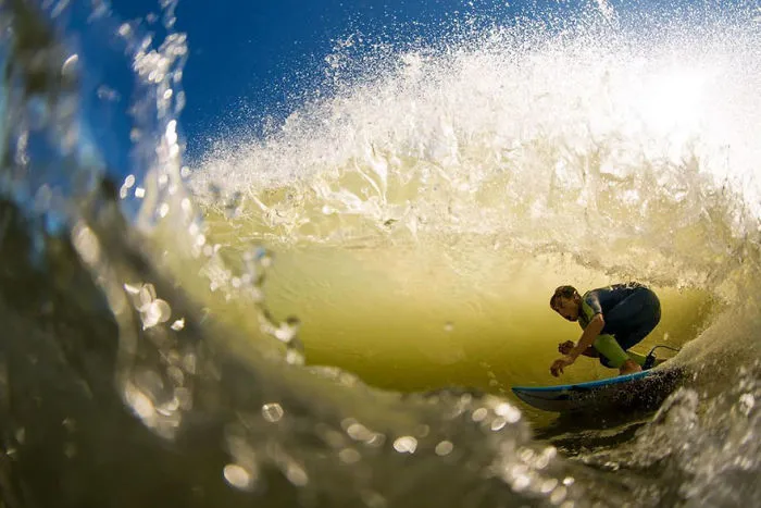 Close Up Category Finalist, Outer Banks, NC, United States