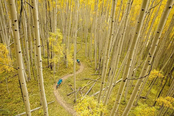 Masterpiece Category Finalist, Crested Butte, CO, United States