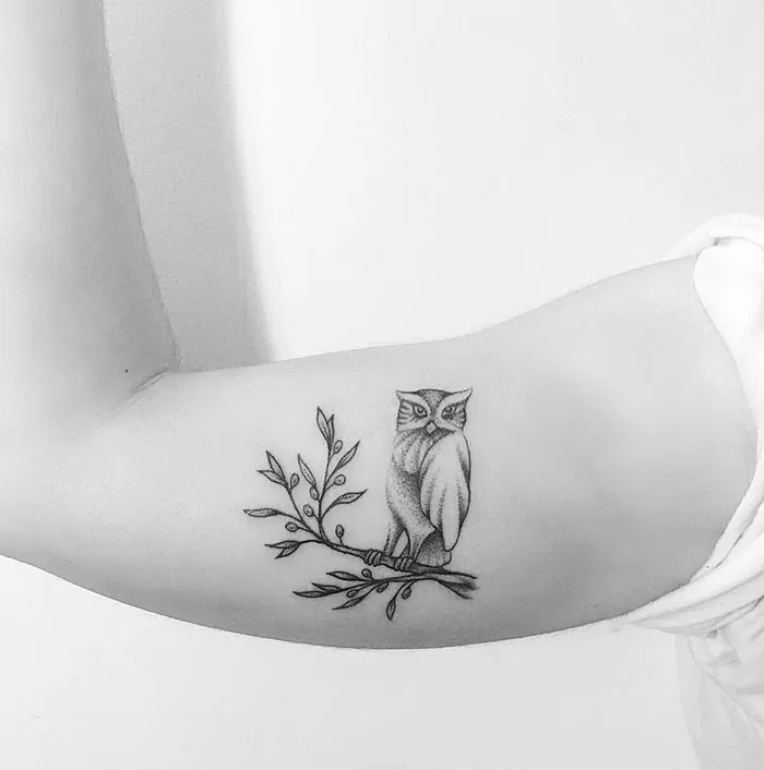 A small bird tattoo featuring an owl perched on a branch on an arm.