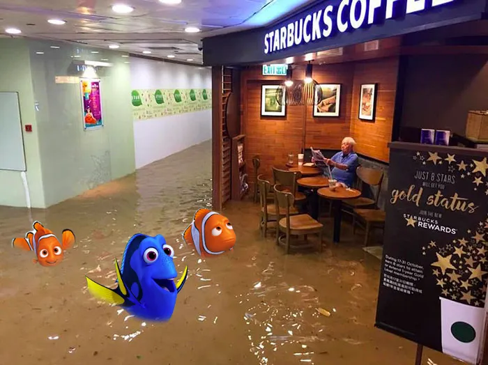 Finding Dory